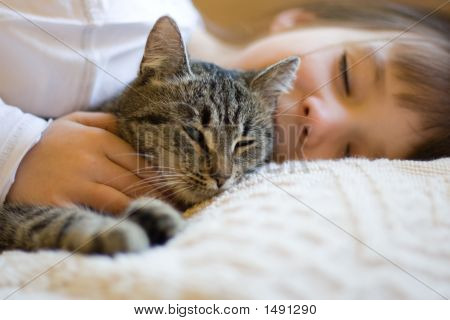 Ragazza carina Napping con gatto