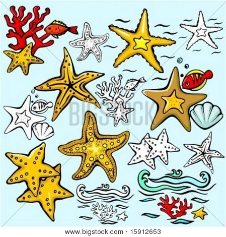 A set of 7 vector illustrations of star-fishes in color, and black and white renderings.