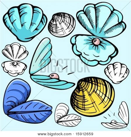 A set of 5 vector illustrations of mussels and clams in color, and black and white renderings.