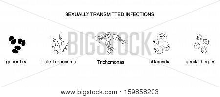 illustration of the causative agents of genital infections. microbiologia