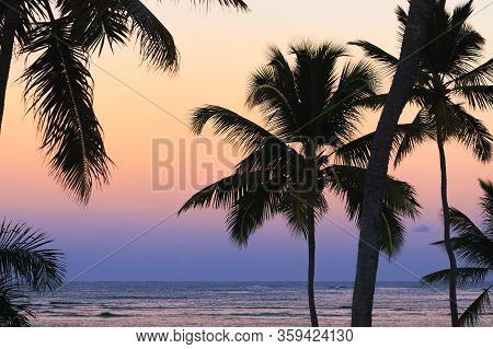 Travel vacation tropical background.Tropical beach sunset background.Travel beackground vacations destination. Travel background. Perfect sunset vacation background. Sunset beach background. Travel background vacation destination.Palm trees in sunset.back