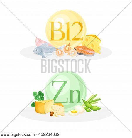 Products Ontaining Vitamin B12 And Zinc With Seafood, Cheese And Legume Vector Composition Set