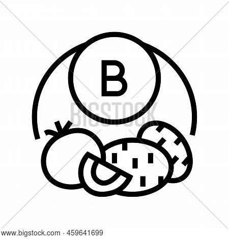 B Vegetable Vitamin Line Icon Vector. B Vegetable Vitamin Sign. Isolated Contour Symbol Black Illust