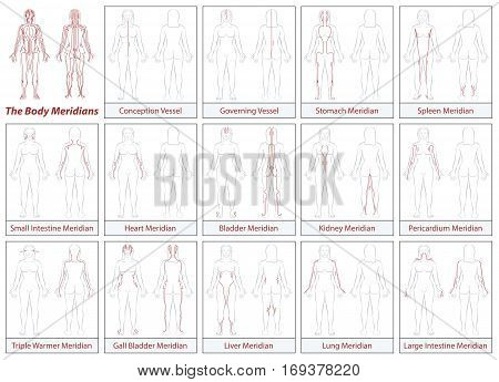 Body meridians chart - female body - schematic diagram with main acupuncture meridians and their directions of flow.