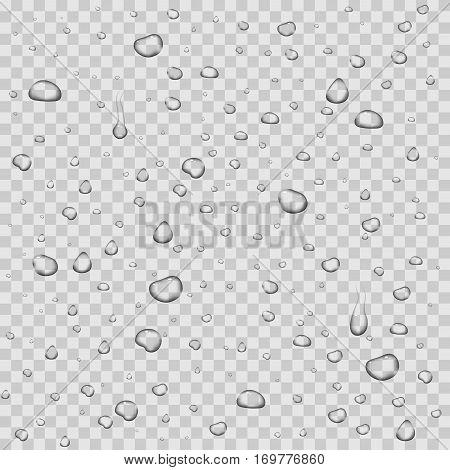 Realistic vector water drops transparent background. Clean drop condensation illustration