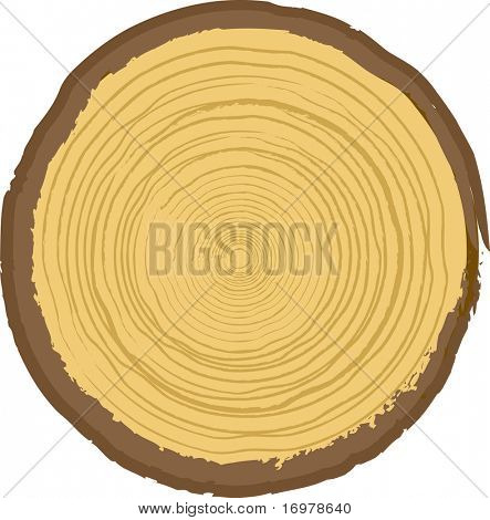 Wood texture. Vector illustration