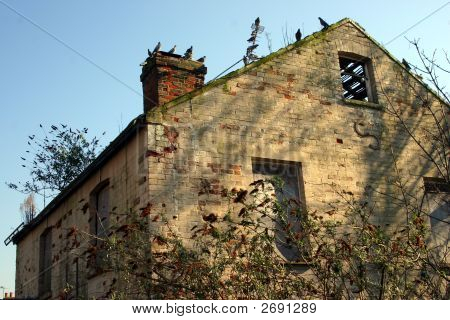 Derelict House