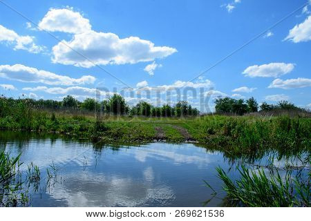 The Road Wade Through A Small River To A Large Forest.