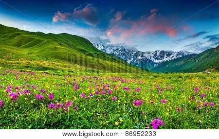 Beautiful View Of Alpine Meadows In The Caucasus Mountains