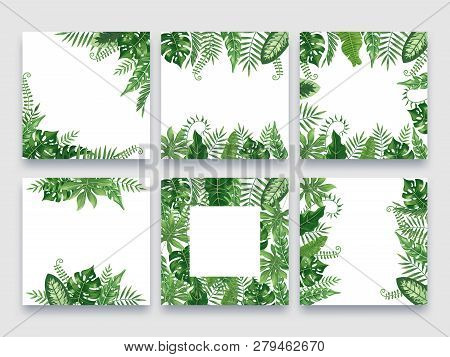 Exotic Leaves Frame. Tropical Leaf Border, Nature Summer Frames And Luxury Palm Leaves Borders Vecto