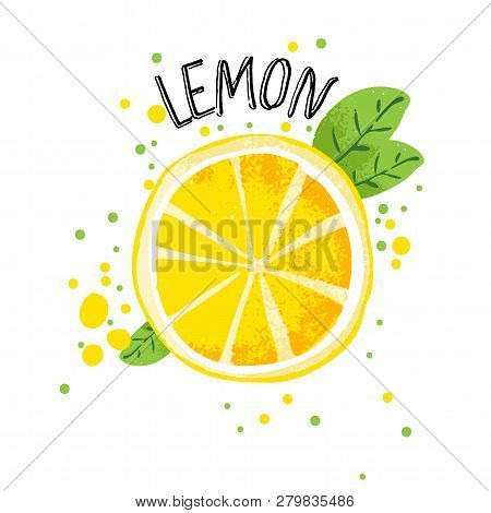 Vector Hand Draw Lemon Illustration. Half And Slice Of Lemons With Juice Splashes Isolated On White 