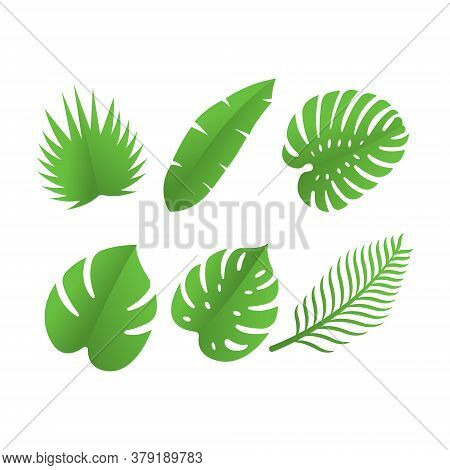 Leaf. Leaf icon. Leaf vector. Leaf icon vector. Leaves icon. Leaf vector icon. Leaf web icon. Leaf icons. Vector Leaf icon. Leaf icon design. Leaf Logo icon vector. Leaf Sign. Leaf Symbol. Trendy Leaf icon vector design template illustration.