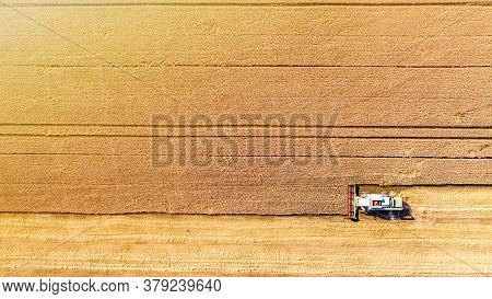 Combine Harvester Gathers Grain On A Wheat Field, Top View. Harvest Time. Aerial Drone View.