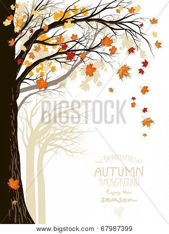 Autumnal forest with falling maple leaves. Place for text.