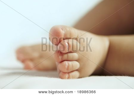 closeup view of newborn baby feet