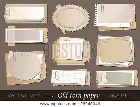 Vector set of old torn paper