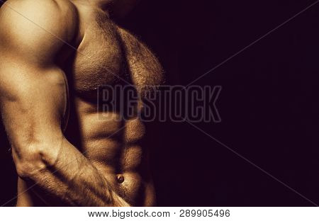 Six Pack, Abs, Strong Chest. Sexy Muscular Male Torso Six Packs, Ab. Athletic Man Training With Nake