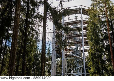 Treetop Walkway (stezka Korunami Stromu) In Sunny Day Lipno Nad Vltavou, South Bohemia, Czech Republ