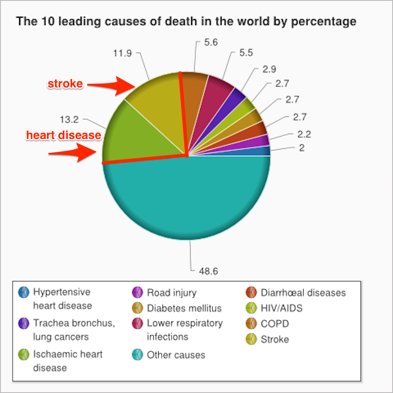 2024 Leading Causes Of Death - Alie Lucila