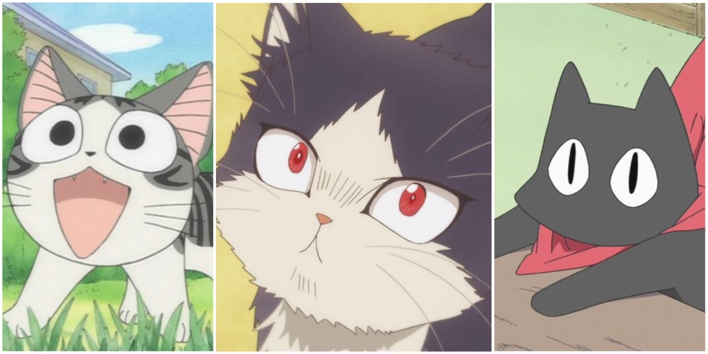 15 Most Memorable Anime Cats