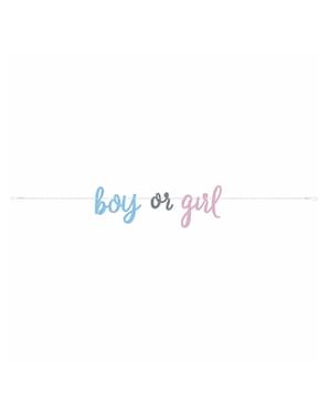 “Boy or Girl”  Banner til kjønnsavsløring - Blue or Pink