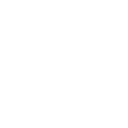 Salaisons du Velay