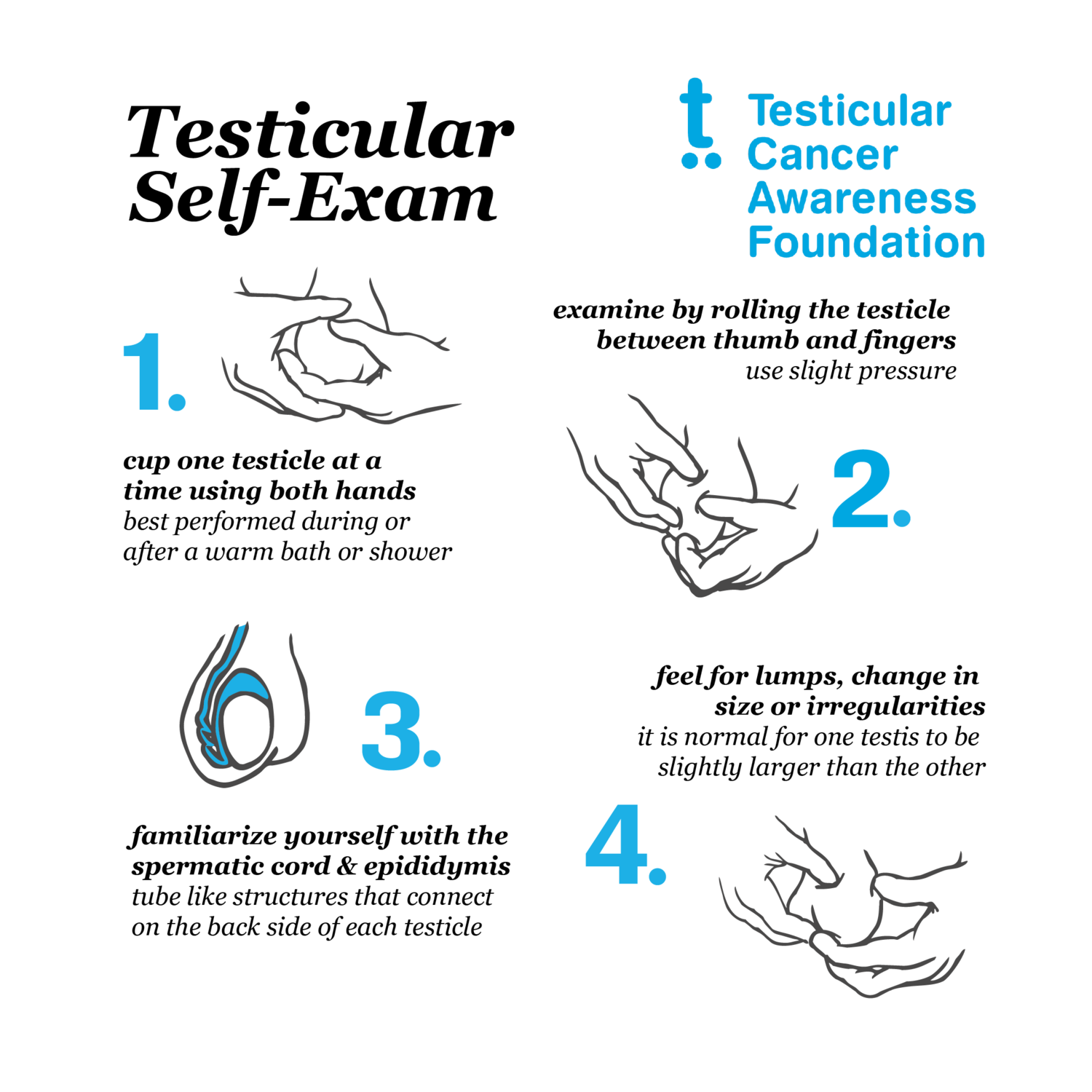 Testicular Self-Exams — Testicular Cancer Awareness Foundation