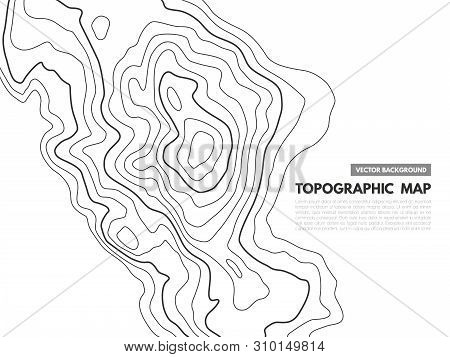 Contour Line Map. Topographical Relief Outline, Cartography Texture Geographic World Mapping Grid Te