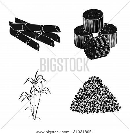 Vector Design Of Sucrose And Technology Icon. Collection Of Sucrose And Cane Stock Vector Illustrati