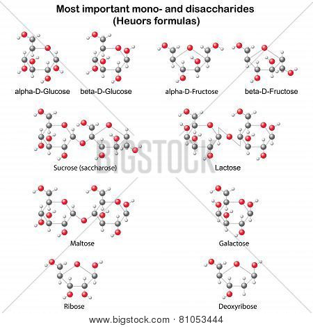 Chemical Structural Models Of Main Mono- And Disaccharides