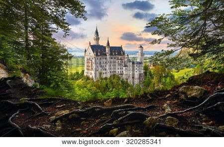 Fairy-tale Neuschwanstein Castle in Bavaria, Germany. View from the bluff with tree roots at famous vintage landmark. Picturesque evening sunset landscape.