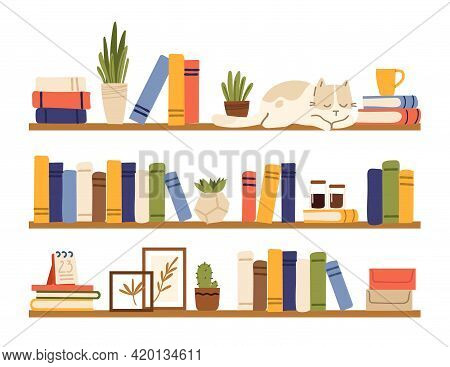 Book Shelves. Rack Books, Interior Bookshelf With Cat, Plants In Pot And Accessories. Isolated Comfy