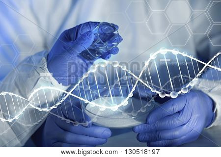 science, chemistry and people concept - close up of scientists hands with glass and chemical powder in petri dish making test or research at laboratory over blue dna molecule structure