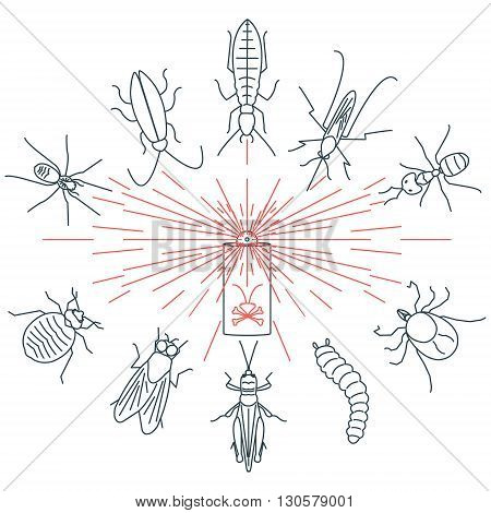 Pest control line icon set with insects-cockroach, tick, bedbug, fly, mosquito, spider, termite, ant, grub, locust. Linear design elements for exterminator service and pest control companies.