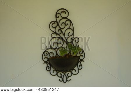 Plant Pot Hanging On The White Wall - Brazilian