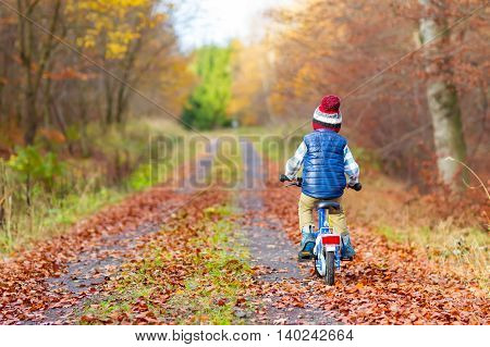 Happy kid boy of 3 years having fun in autumn forest with a bicycle on beautiful fall day. Active child making sports. Safety, sports, leisure with kids concept.