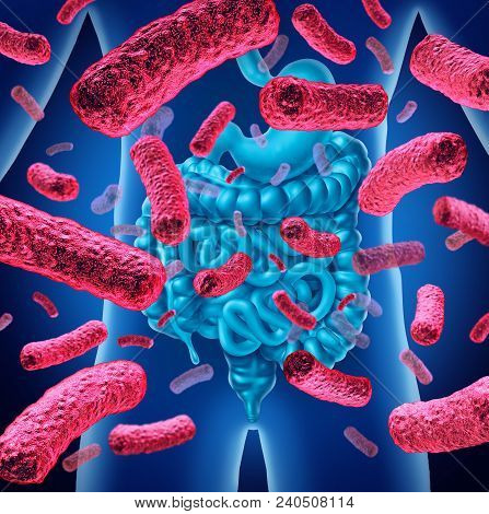 Intestine Bacteria And Gut Flora Or Intestinal Bacterium Medical Anatomy Concept As A 3d Illustratio