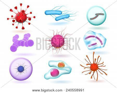 Realistic 3d Microbiology Bacteria, Various Virus, Nature Microorganism And Science Of Microscopic F