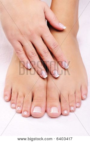 Female Hands On The Well-groomed Feet