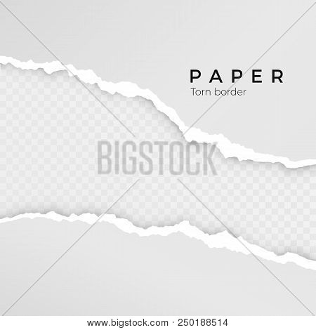 Torn Paper Sheet. Torn Paper Edge. Paper Texture. Rough Broken Border Of Paper Stripe. Vector Illust