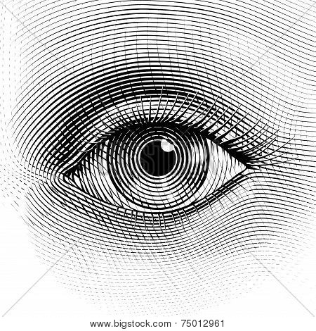 Vector eye