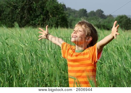 Feliz saudável sorridente filho braços levantados