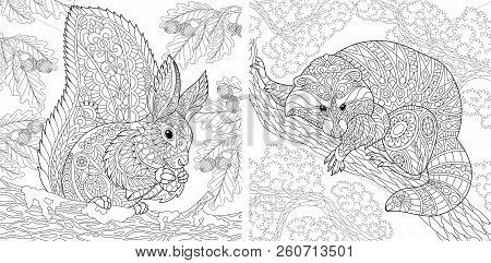 Coloring Pages. Coloring Book For Adults. Colouring Pictures With Squirrel And Raccoon. Antistress F