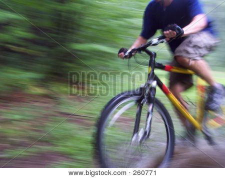 Passear de bicicleta pela floresta