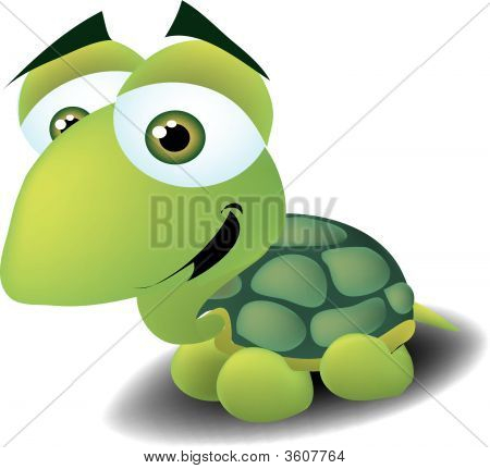 Cute Turtle