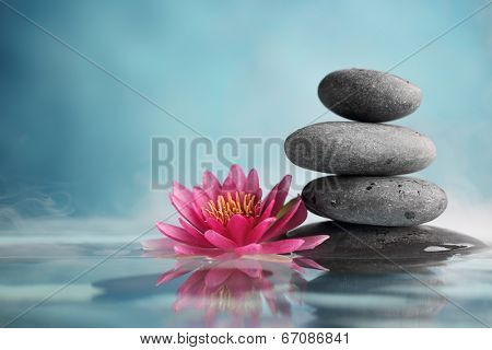 Spa still life with water lily and zen stone in a serenity pool