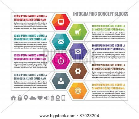 Business infographic concept colored hexagon blocks in flat style design. S