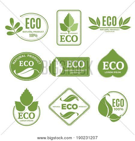 Labels or eco logo set with plants and green leafs. Vector icons isolate on white background. Leaf eco label, illustration of natural eco organic symbol sticker