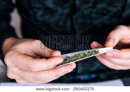 Drug Use. Close Up . Man Rolling A Marijuana Joint. Man Preparing And Rolling Marijuana Cannabis Joi