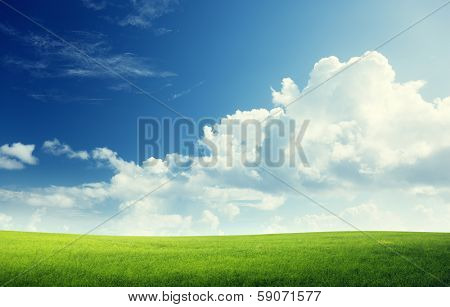 field of grass and perfect sky